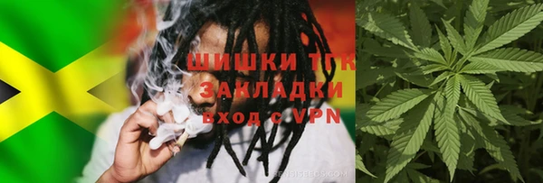 сатива Алзамай