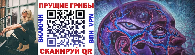 Галлюциногенные грибы ЛСД как найти закладки Чайковский